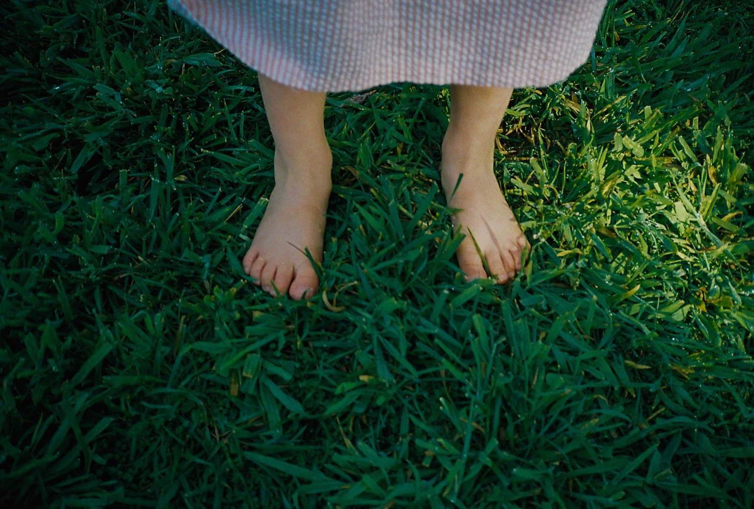 35mm film photograph from the portfolio