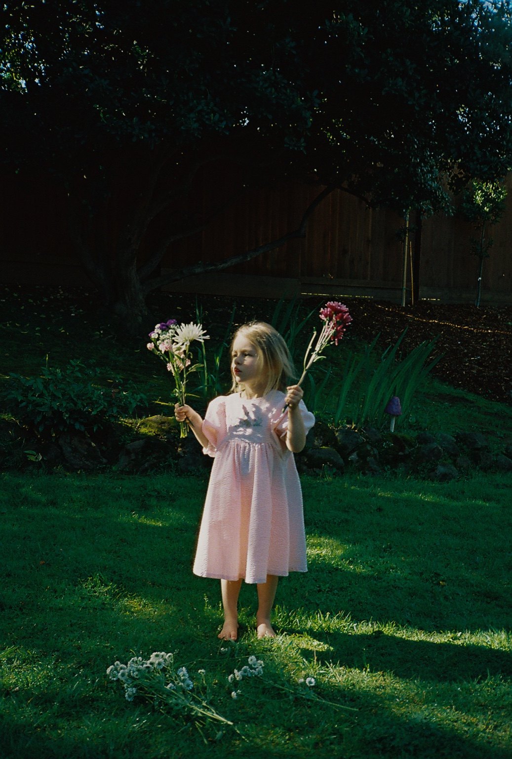 35mm film photograph from the portfolio