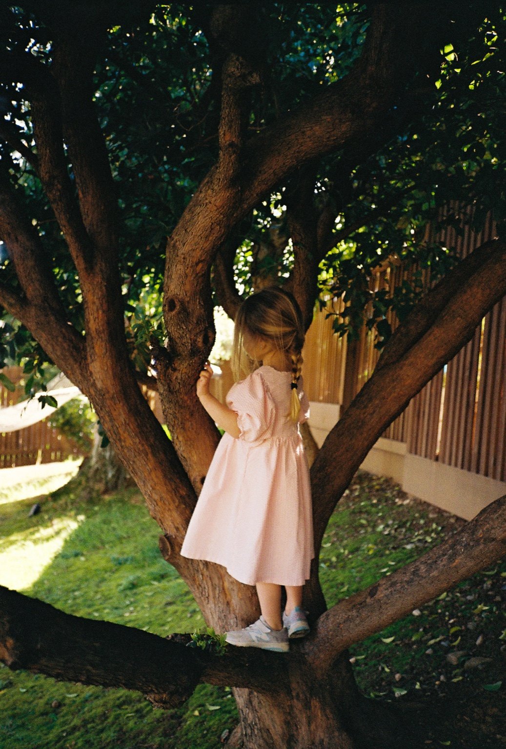 35mm film photograph from the portfolio